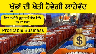 Bank ਦੀ ਨੋਕਰੀ ਛੱਡਕੇ Mashroom ਦੀ ਖੇਤੀ । ਕਰੋੜਾਂ ਦਾ Business । Latest Podcast with Narinderpal Singh 🍄