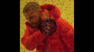 【Processing】Interactive Image Transition | SM2715 Assignment