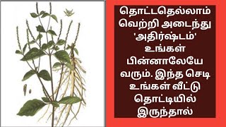 தொட்டதெல்லாம் வெற்றி அடைந்து 'அதிர்ஷ்டம்' உங்கள் பின்னாலேயே வரும்@Amuthamchannel