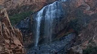 Walter Sisulu National Botanical Garden, Poortview, Roodepoort, South Africa