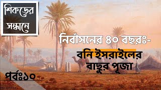 শিকড়ের সন্ধানে; পর্ব ১০ঃ নির্বাসনের চল্লিশ বছরঃ-  বনি ইসরাইলের বাছুর পূজা