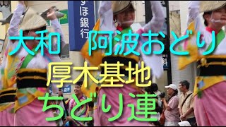 大和　阿波おどり　海上自衛隊　厚木基地　ちどり連