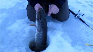 Hauen täkykalastusta  Pike fishing on ice (ismete)