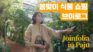 봄맞이 초록이 식물쇼핑🍃플랜테리어 | 파주 조인폴리아, 말똥도넛