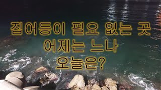 집어등이 필요 없는 곳 어제는 느나 오늘은? 울산 방어진 남진 방파제