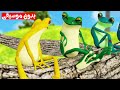 أغنية الخمس ضفادع بدون موسيقى | قناة أسرتنا