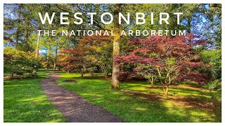 Westonbirt The National Arboretum - Autumn colours in the beautiful Cotswolds countryside 2023, 4K