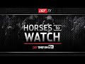 Horses to Watch - June 25, 2019