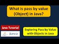 What is pass by value (Object) in Java? | Java pass by value (Object) | Java Tutorial