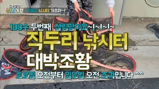 직두리 낚시터 200수? 밤낚시 전자찌 찌올림 영상과 함께 힐링하고 왔습니다