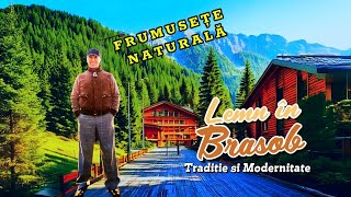 Frumusețe naturalǎ, Lemn în Brașov.Tradiție și Modernitate !!!