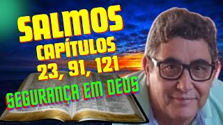 🔴 NARRAÇÃO SALMO 23 SALMO 91 SALMO 121 - SEGURANÇA EM DEUS - (Wilton Andrade Biblia em Vídeo) 🔴