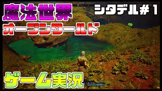 シタデル　PS４　永炎の魔法と古の城塞　ゲーム実況＃１　PvP