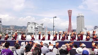 実践女子大学同短期大学部YOSAKOIソーラン部WING @ 神戸よさこいまつり (高浜緑地会場) 2019-08-31T13:00