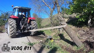 To Install Fertilizer, I Had To Cut Trees! (VLOG # 11) | MF 5440 \u0026 Ford 3000