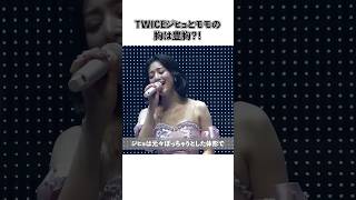 TWICEジヒョとモモの胸は豊胸？！