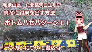 あかねちゃんと釣りにいくで！　和歌山、真冬に釣果を出す方法