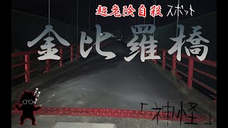 神怪『一人心霊検証ダーツの旅』第四怪　※金比羅橋※