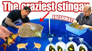 MYSTERY FISH UNBOXING - One Of Our Best Shipments Yet with FISH I NEVER SEEN BEFORE 🤯