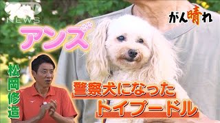 スーパー警察犬はトイプードル！！【松岡修造のみんながん晴れ】(2023年10月22日)