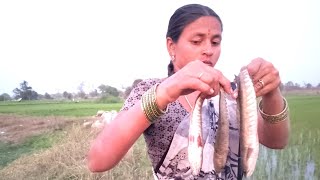 Village Women Fishing Videos /మా గుడిసె కాడ చేపలు పట్టినం 👉కొన్ని చేపలు తపించుకున్నాయి /Women Vlogs