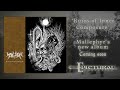 Mallephyr - I am the two headed serpent (SINGLE TRACK)