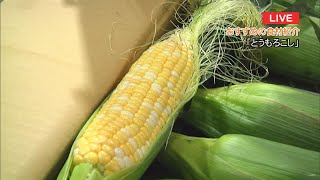 岐阜市中央卸売市場から旬の野菜と果物を紹介　2021年7月15日（木）放送