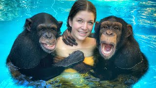 WORLDS ONLY SWIMMING CHIMPANZEES!!! (+6 month old baby monkey debut!)