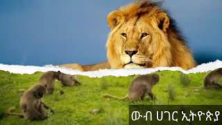 Beautiful Country of Ethiopia ውቢቷ ሀገሬ