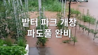 처음 겪어보는 장마의 무서움