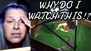 LORD NIL NEARLY EATEN ALIVE BY ALLIGATORS ( AGT ) | REACTION