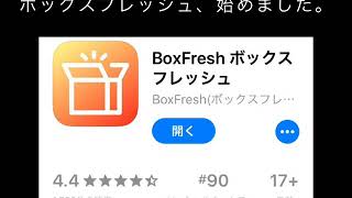 BoxFresh、始めました！