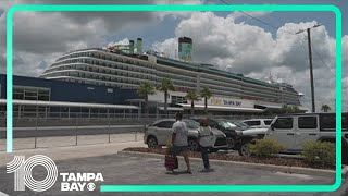 Applications open for first-ever dog-friendly cruise