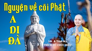 NGUYỆN VỀ CÕI PHẬT A DI ĐÀ | Nghe Là Hết Buồn Phiền Lo Âu - THÍCH NỮ CHÚC HIẾU