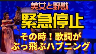 【短縮】【ハプニング】ディズニー美女と野獣魔法のものがたりが壊れた！新エリア・bgm・アトラクション・東京ディズニーランド・東京ディズニーリゾート・ディズニーランド・tdl・TDR・チケット・vlog