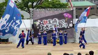 あっぱれ青組 [黒崎よさこい祭り 2022.5.15(日)]