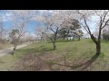 High Park 360 Tour 2