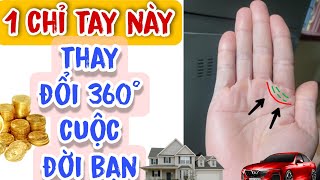 Có Đường Chỉ Tay Ngàn Vàng Sẽ Giàu Sang Phú Quý Nhiều Đất Nhiều Nhà | Cuộc đời thay đổi 360°