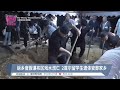 返乡度假瀑布区戏水溺亡 2首尔留学生遗体安葬家乡【2024.07.25 八度空间午间新闻】