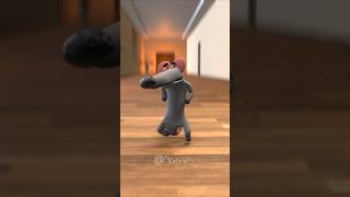 The Dancing Rat #meme