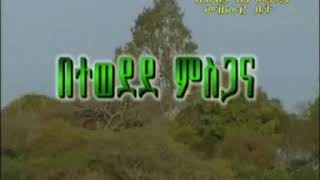 ZEMARI ENDALKACHEW/ዘማሪ እንዳልካቸው