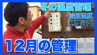 【いちご農家】12月の管理 温度設定について