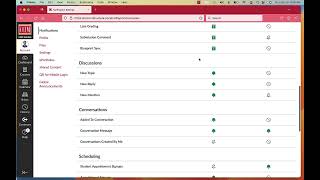 Advanced Canvas Tips