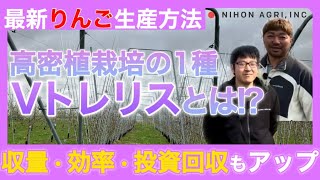 【最新！りんご生産方法】高密植栽培って1つじゃない！より収量・効率・投資回収が良い\