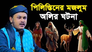 ফিলিস্তিনের মজলুম অলির ঘটনা । ক্বারী শামীম হোসাইন রেজা ক্বাদেরী । shamim reza waz 2025