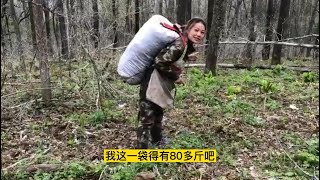 自己採了滿滿噹噹一袋子，真過癮！