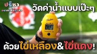 เครื่องวัดของเสียในน้ำแบบเป๊ะปังวังเวอร์ - มินิซีรี่ส์ \