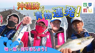 沖堤防で青物連発！旬の魚を釣りましょう！（四季の釣り/2022年11月4日放送）