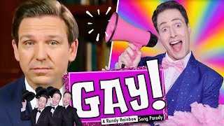 GAY! - A Randy Rainbow Song Parody