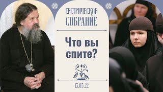 Пустите Бога в свою жизнь. Сестрическое собрание с о. Андреем Лемешонком